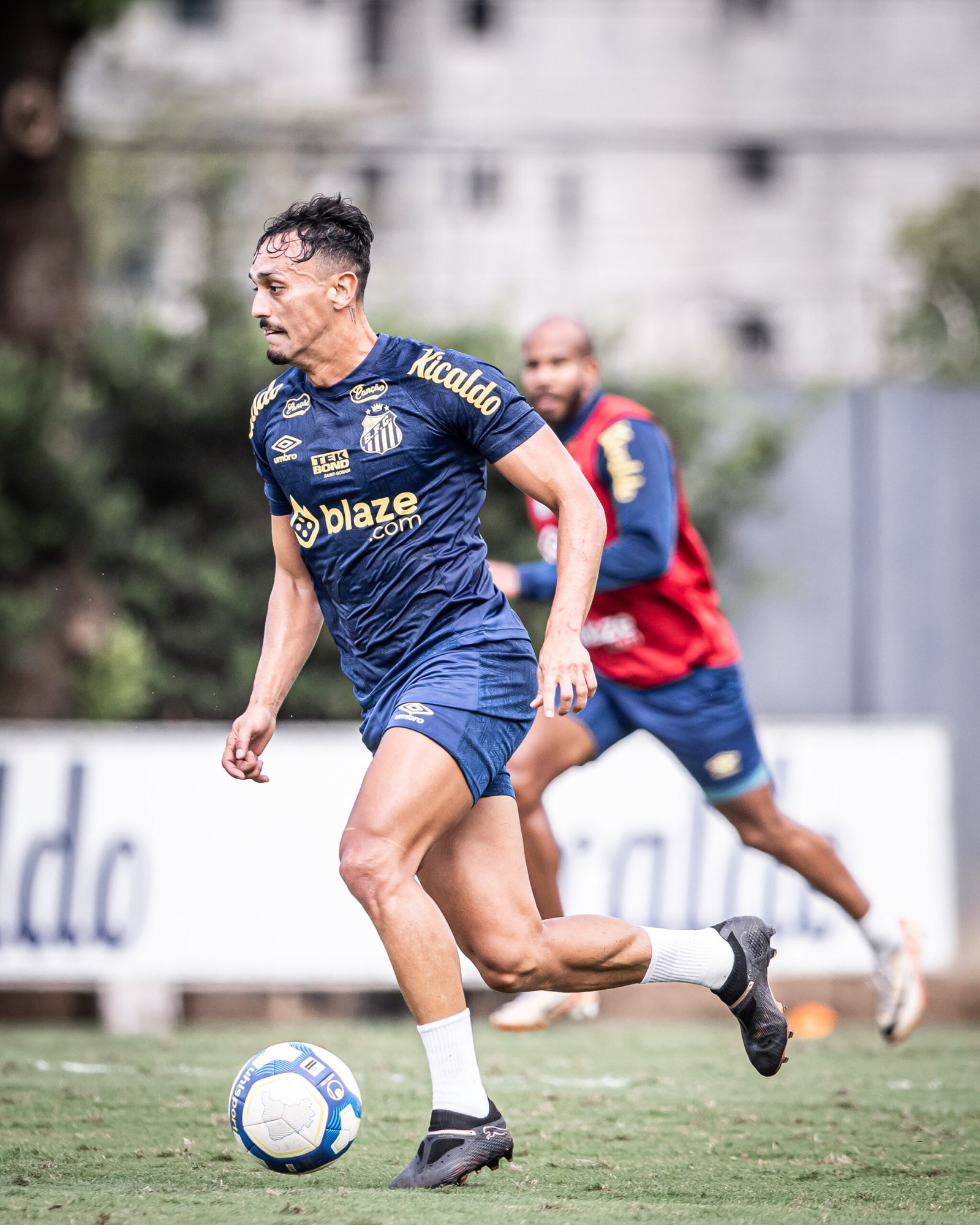 Treino do Santos: Carille faz trabalhos táticos com a equipe