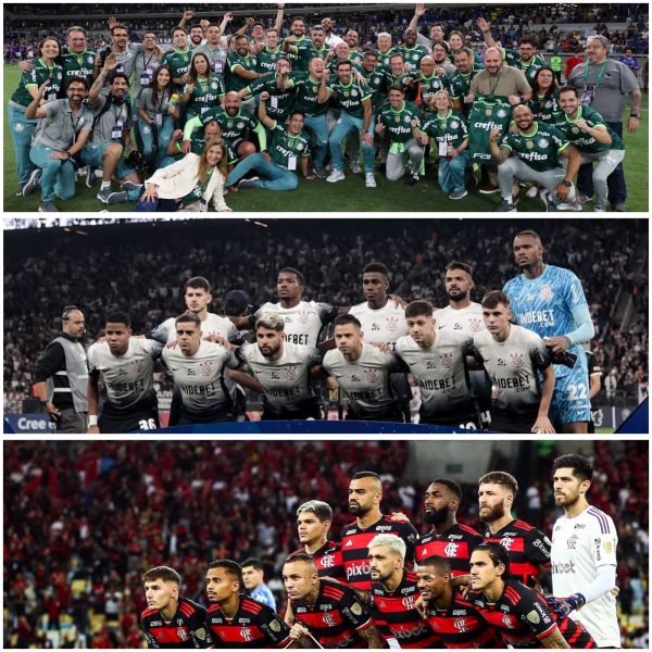 Palmeiras é o mais citado como maior rival por torcedores brasileiros; Corinthians e Flamengo aparecem em sequência